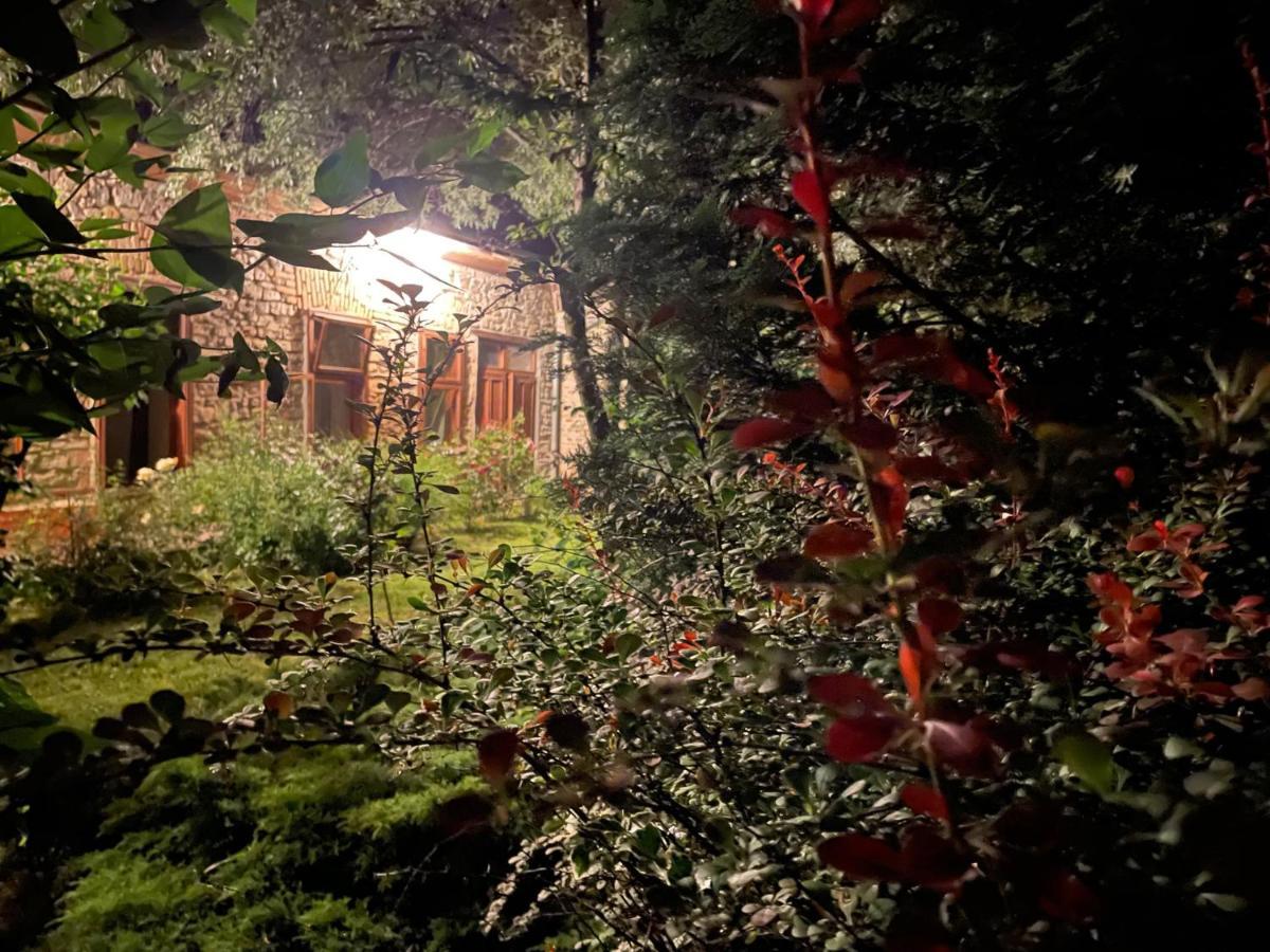 Kohaz Apartman Daire Veszprém Dış mekan fotoğraf