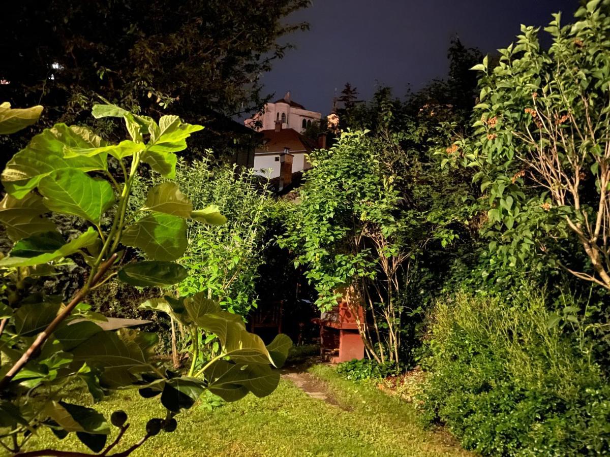Kohaz Apartman Daire Veszprém Dış mekan fotoğraf