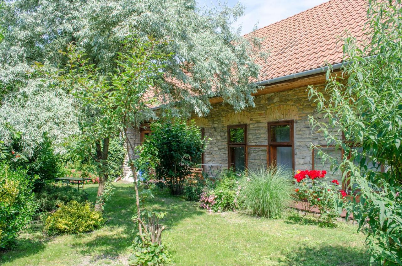 Kohaz Apartman Daire Veszprém Dış mekan fotoğraf
