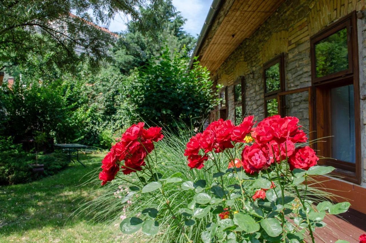Kohaz Apartman Daire Veszprém Dış mekan fotoğraf